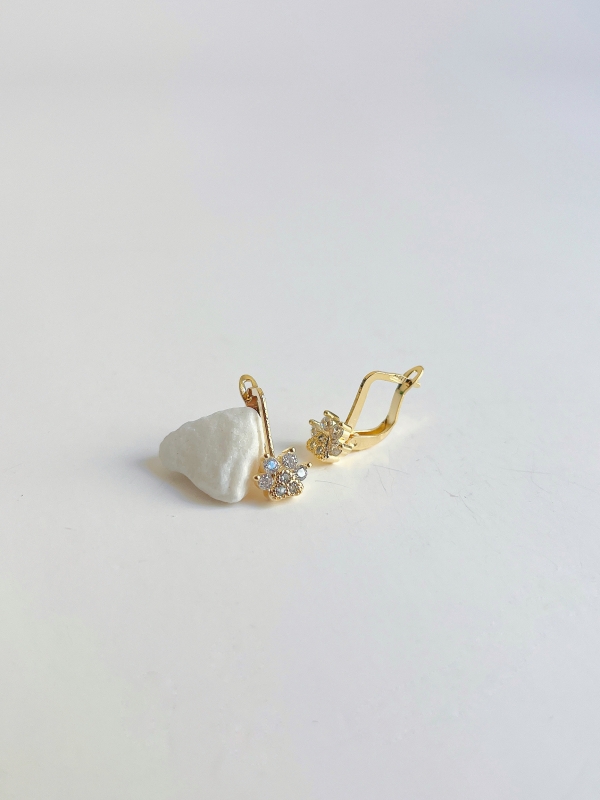 CANDONGA HUELLA CIRCON