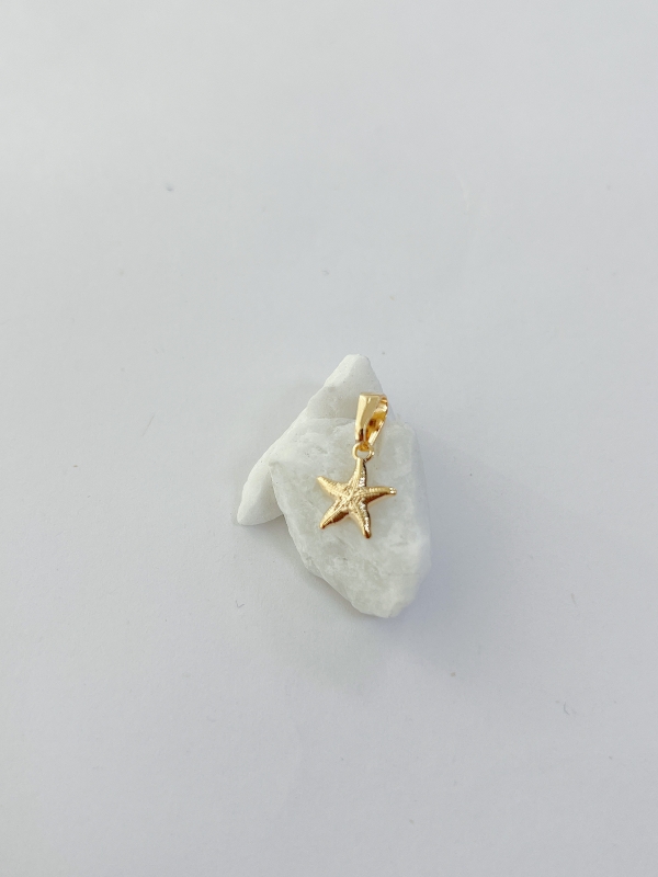 DIJE ESTRELLA DE MAR